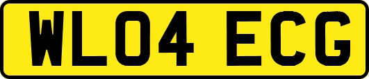 WL04ECG