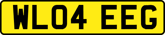 WL04EEG