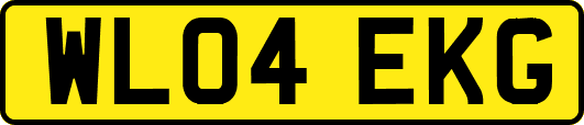 WL04EKG