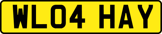 WL04HAY