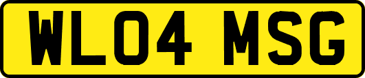 WL04MSG