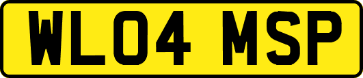 WL04MSP