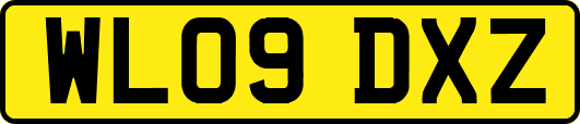 WL09DXZ