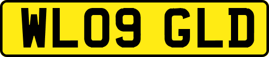 WL09GLD