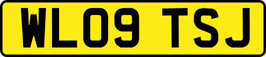 WL09TSJ