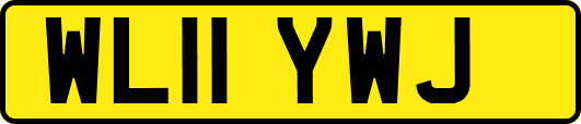WL11YWJ