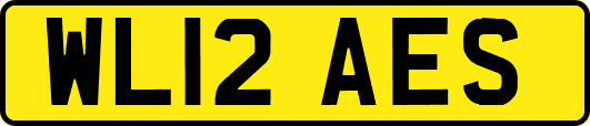 WL12AES