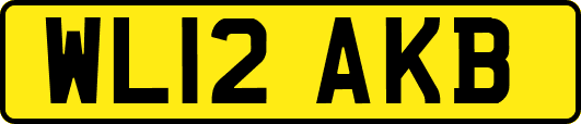 WL12AKB