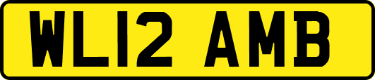 WL12AMB