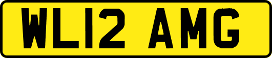 WL12AMG