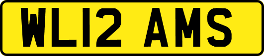 WL12AMS