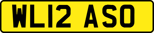 WL12ASO