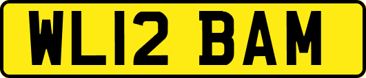 WL12BAM