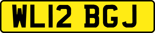 WL12BGJ