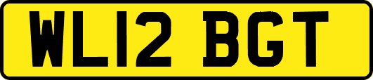 WL12BGT
