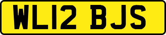 WL12BJS