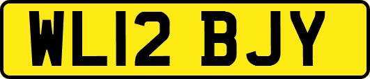 WL12BJY