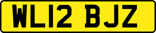 WL12BJZ