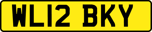 WL12BKY