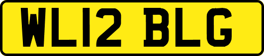 WL12BLG