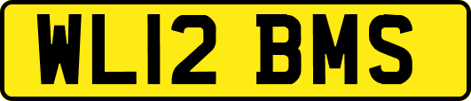 WL12BMS