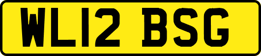 WL12BSG