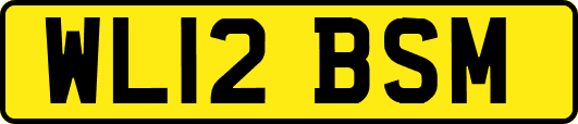 WL12BSM