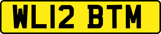WL12BTM