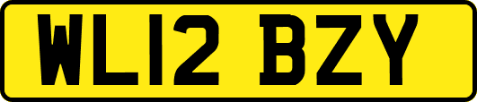 WL12BZY