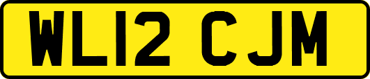 WL12CJM