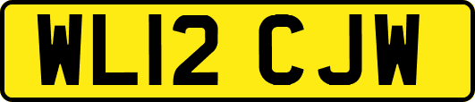WL12CJW
