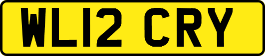WL12CRY