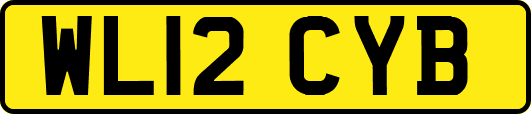 WL12CYB