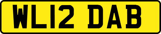 WL12DAB