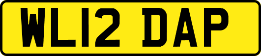 WL12DAP