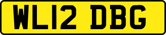WL12DBG