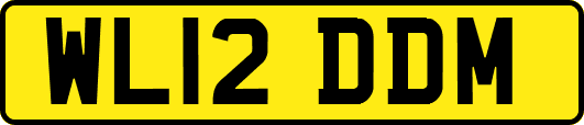 WL12DDM
