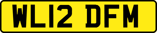 WL12DFM