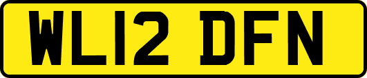 WL12DFN