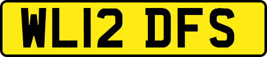 WL12DFS