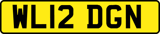 WL12DGN