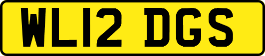WL12DGS