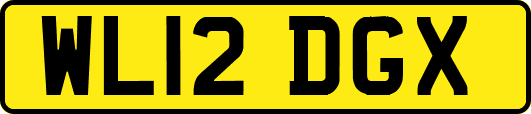 WL12DGX