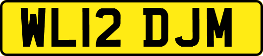 WL12DJM