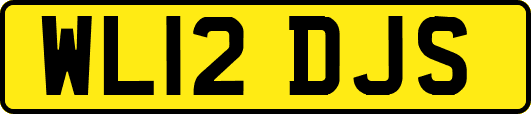 WL12DJS