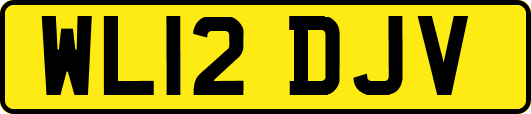 WL12DJV