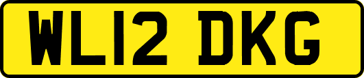 WL12DKG