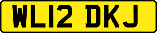 WL12DKJ