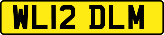 WL12DLM