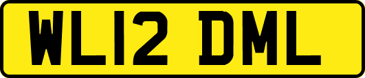 WL12DML